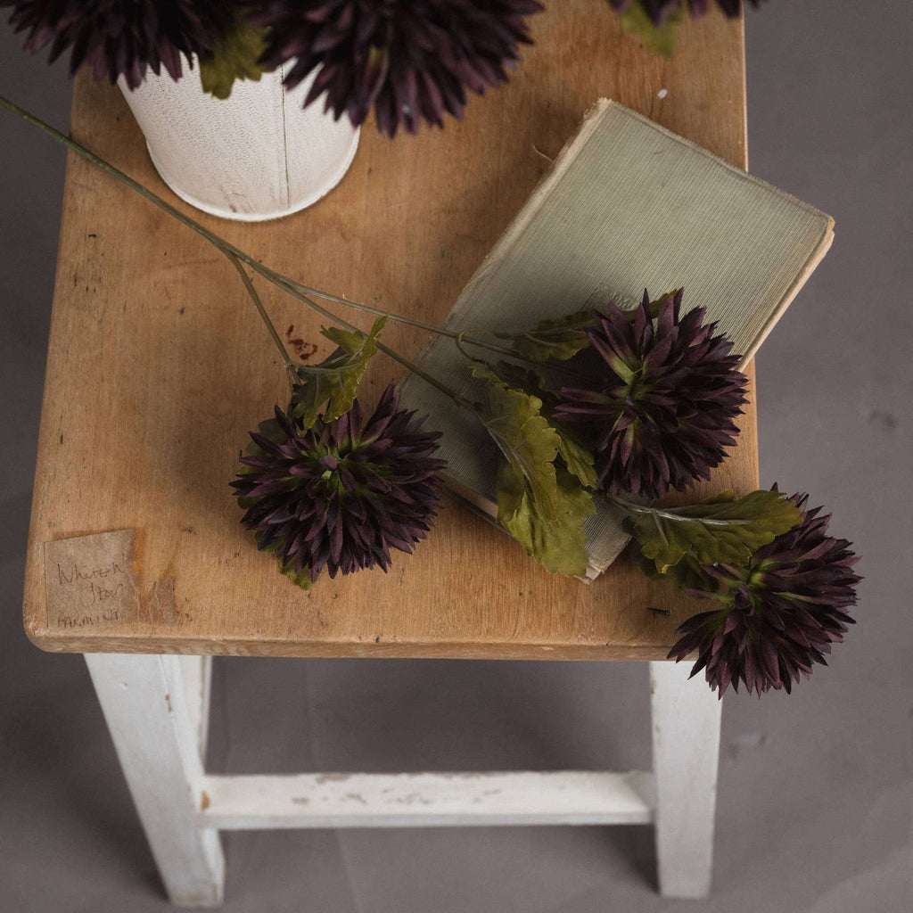 Chocolate Chrysanthemum Shades 4 Seasons