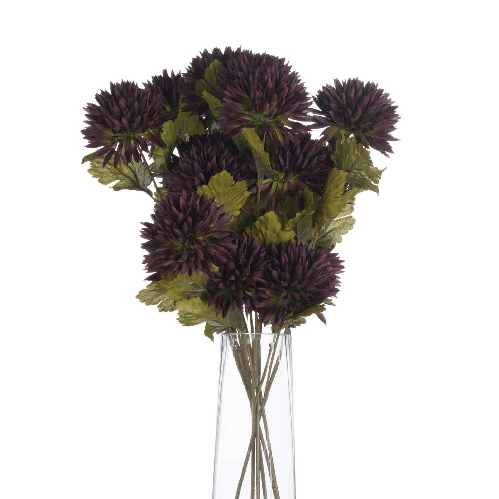 Chocolate Chrysanthemum Shades 4 Seasons