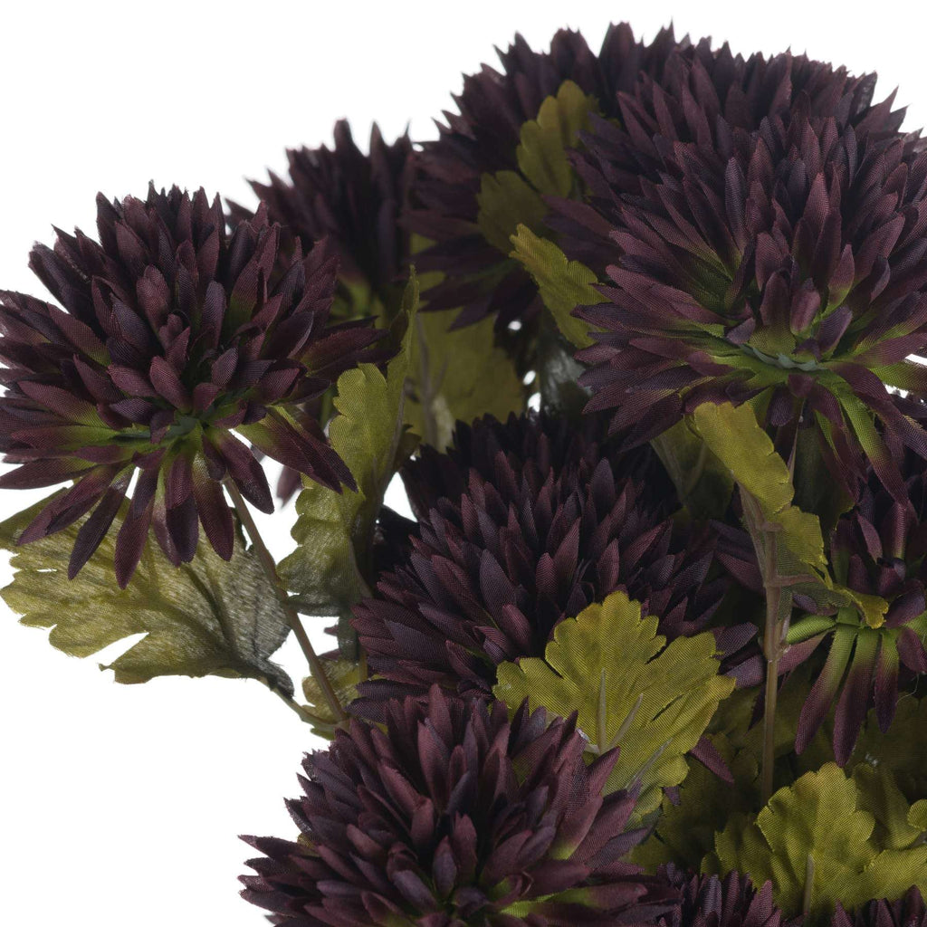 Chocolate Chrysanthemum Shades 4 Seasons