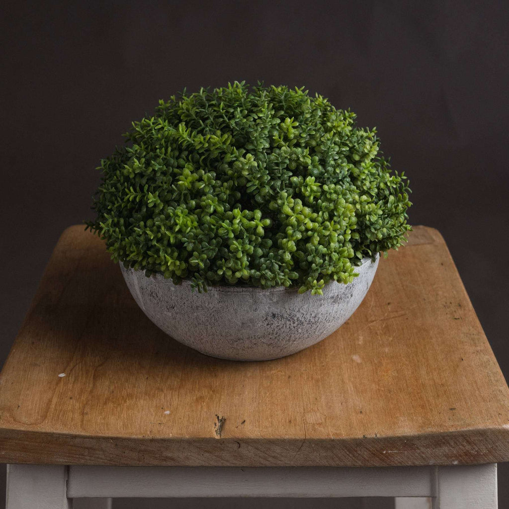 Small Hebe Globe Pot GREEN PLASTIC Shades 4 Seasons