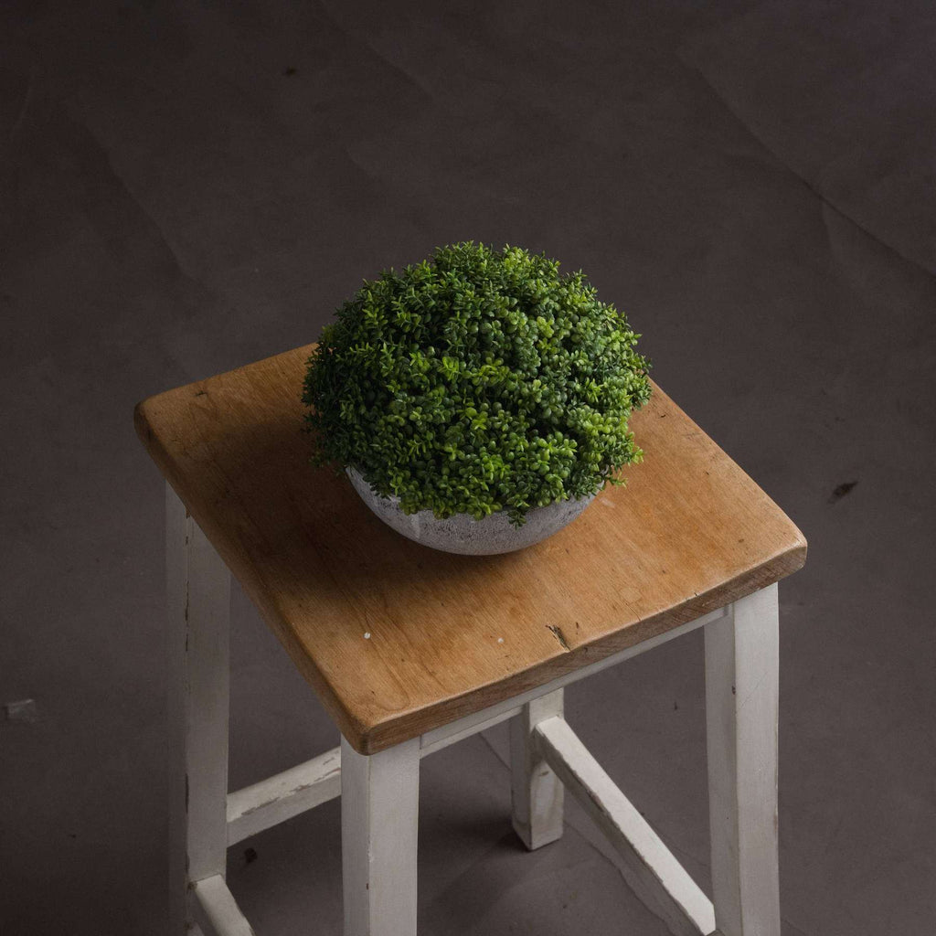 Small Hebe Globe Pot Shades 4 Seasons