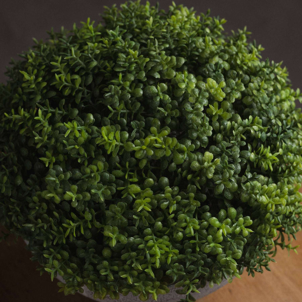 Small Hebe Globe Pot Shades 4 Seasons