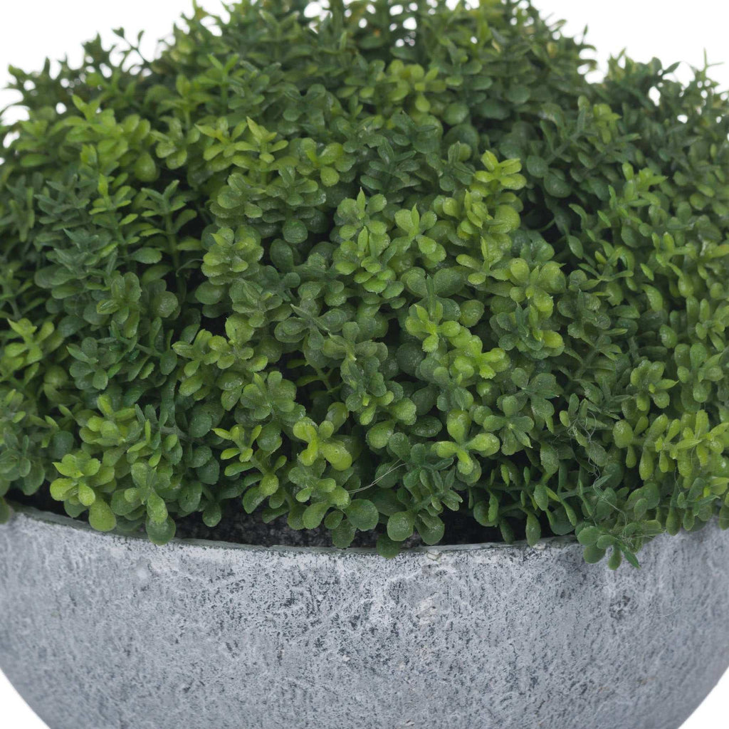 Small Hebe Globe Pot Shades 4 Seasons