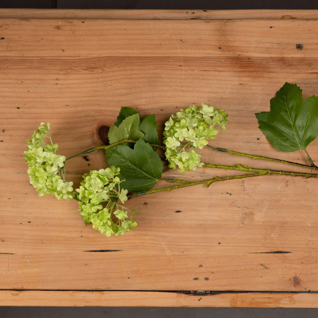 Green Viburnum Spray Shades 4 Seasons