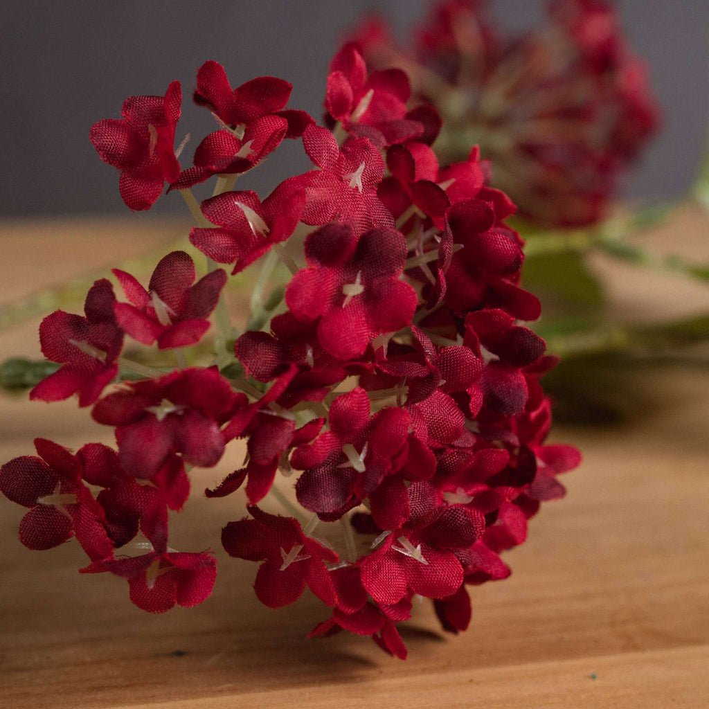 Red Autumnal Viburnum Shades 4 Seasons