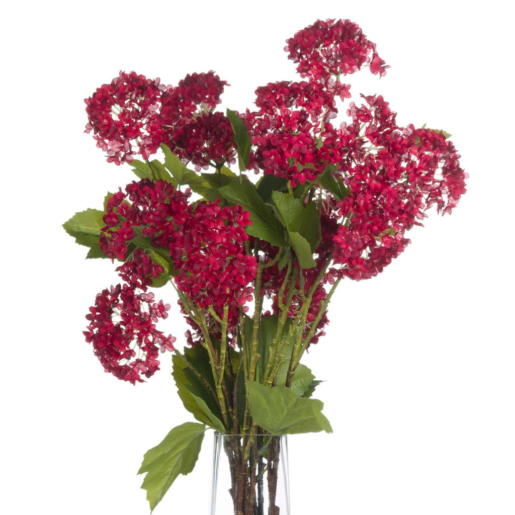 Red Autumnal Viburnum Shades 4 Seasons