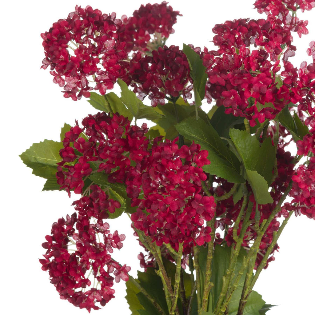 Red Autumnal Viburnum Shades 4 Seasons