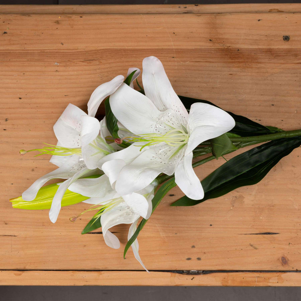White Lily Shades 4 Seasons