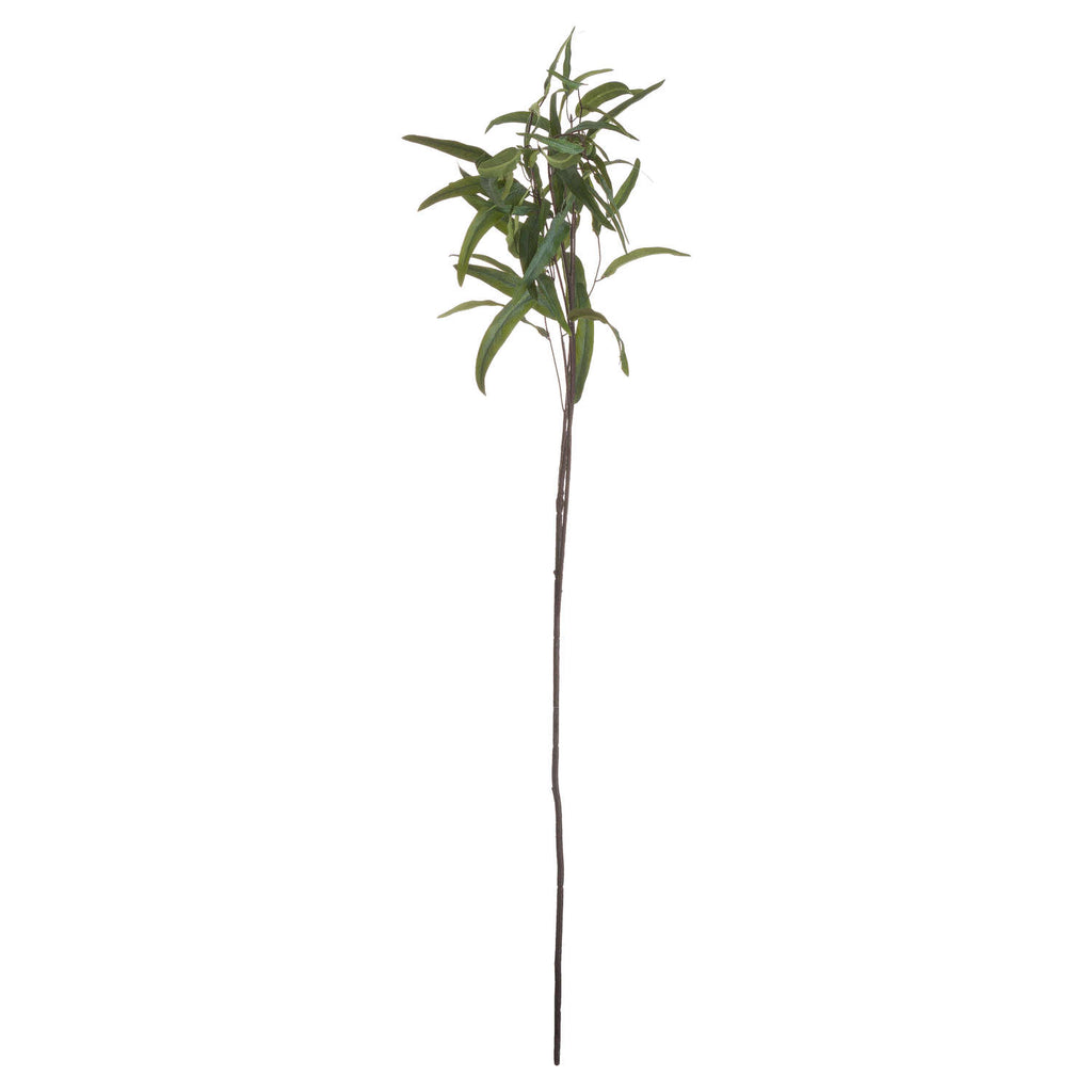 Eucalyptus Nicholii Spray Shades 4 Seasons