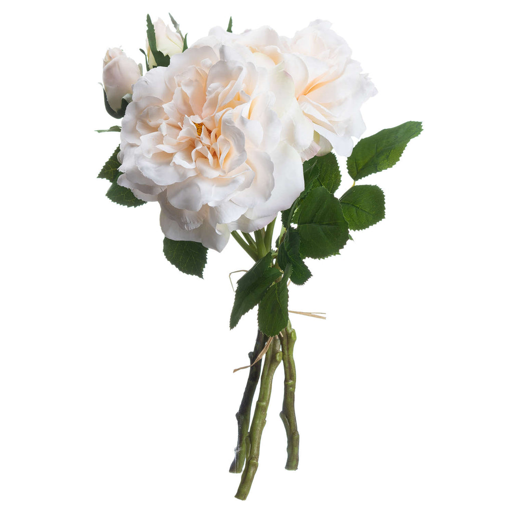 Peachy Cream Short Stem Rose Bouquet Shades 4 Seasons