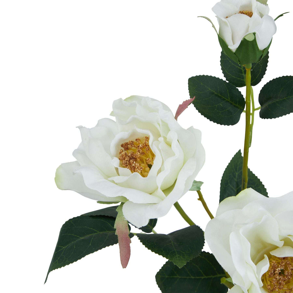 The Natural Garden Collection White Tea Rose Shades 4 Seasons