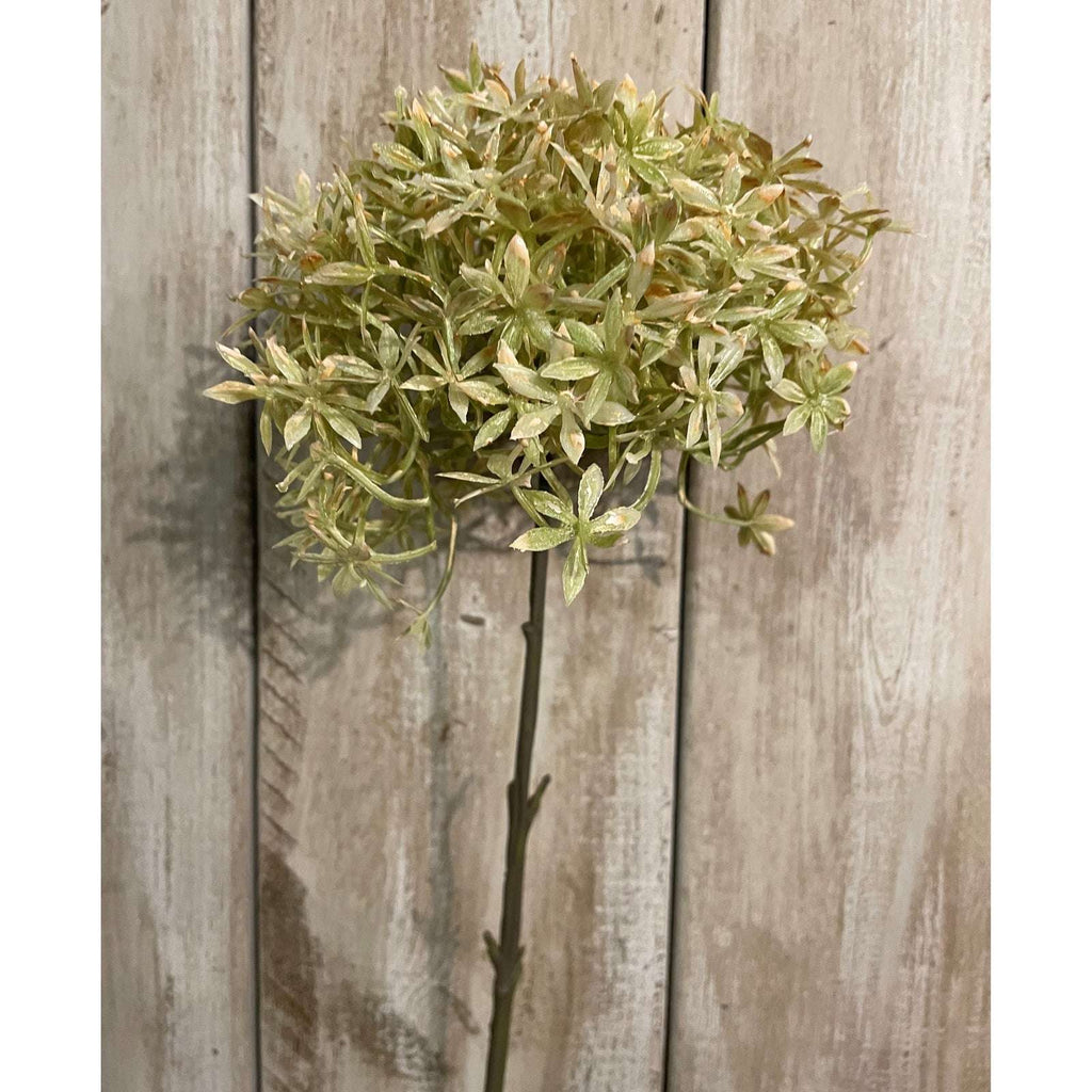 Green And Beige Allium PLASTIC Shades 4 Seasons