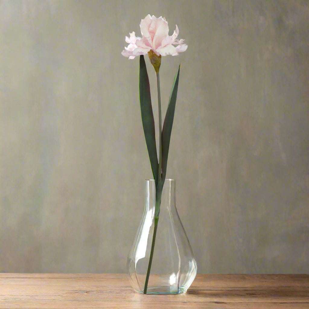 The Natural Garden Collection Pale Pink Fringed Iris PLASTIC Shades 4 Seasons