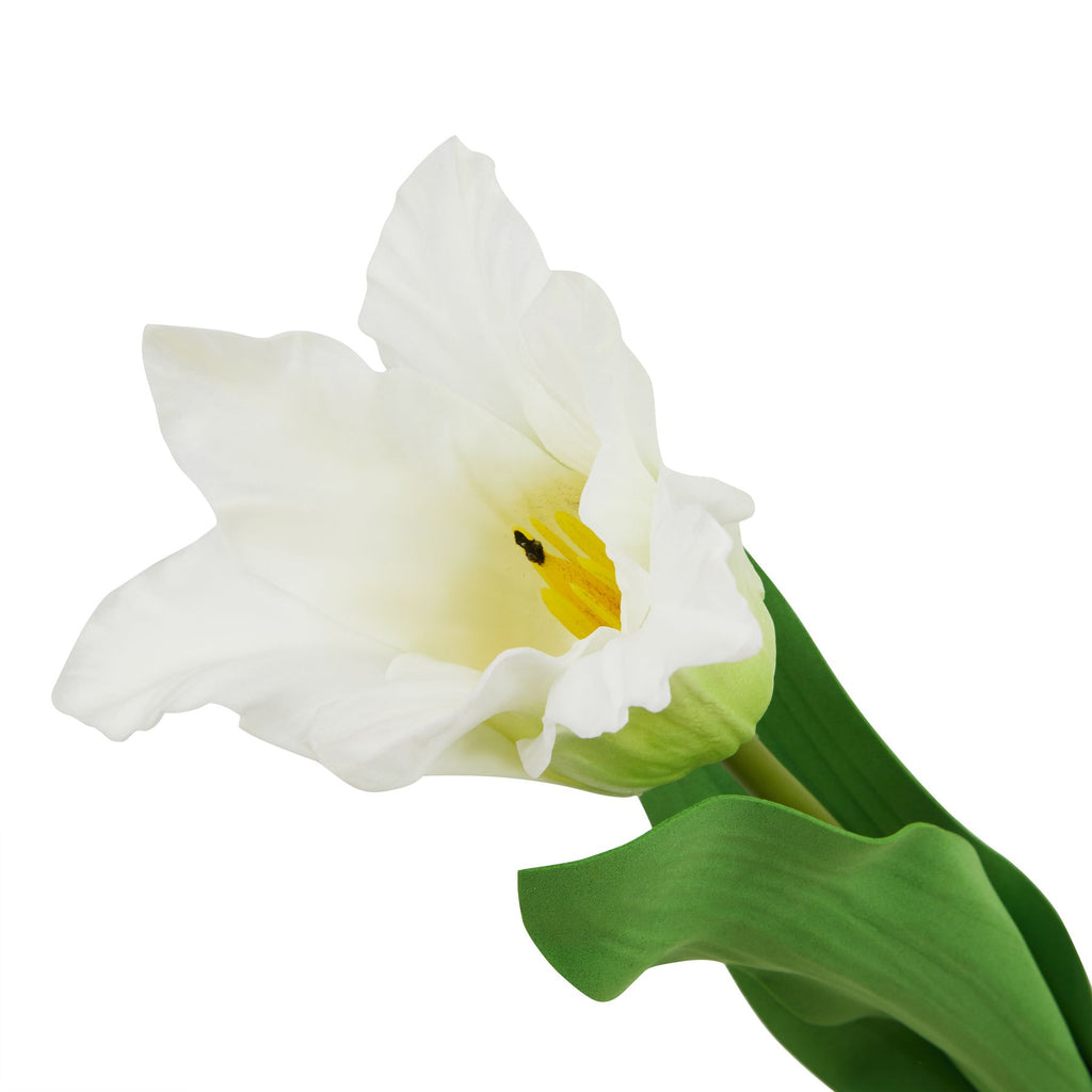 The Natural Garden Collection White Parrot Tulip Shades 4 Seasons