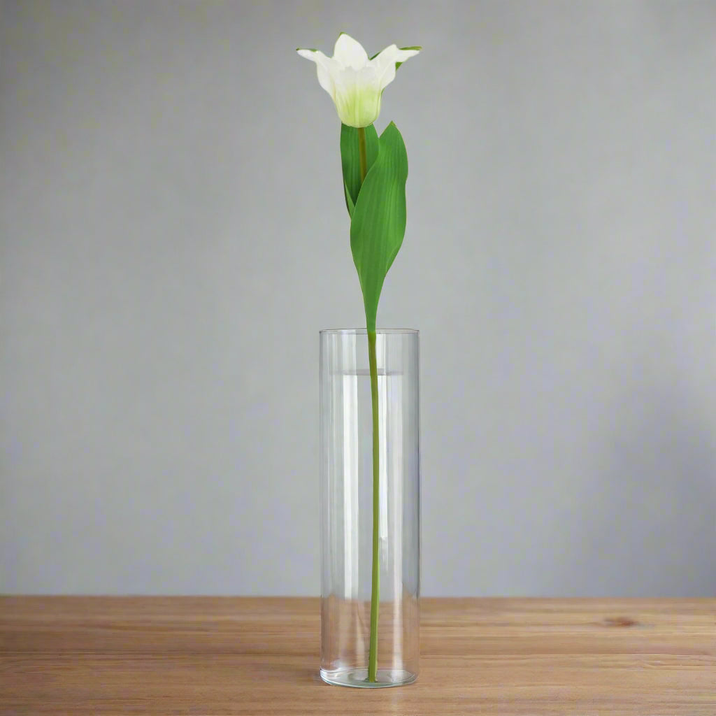 The Natural Garden Collection White Parrot Tulip PLASTIC Shades 4 Seasons