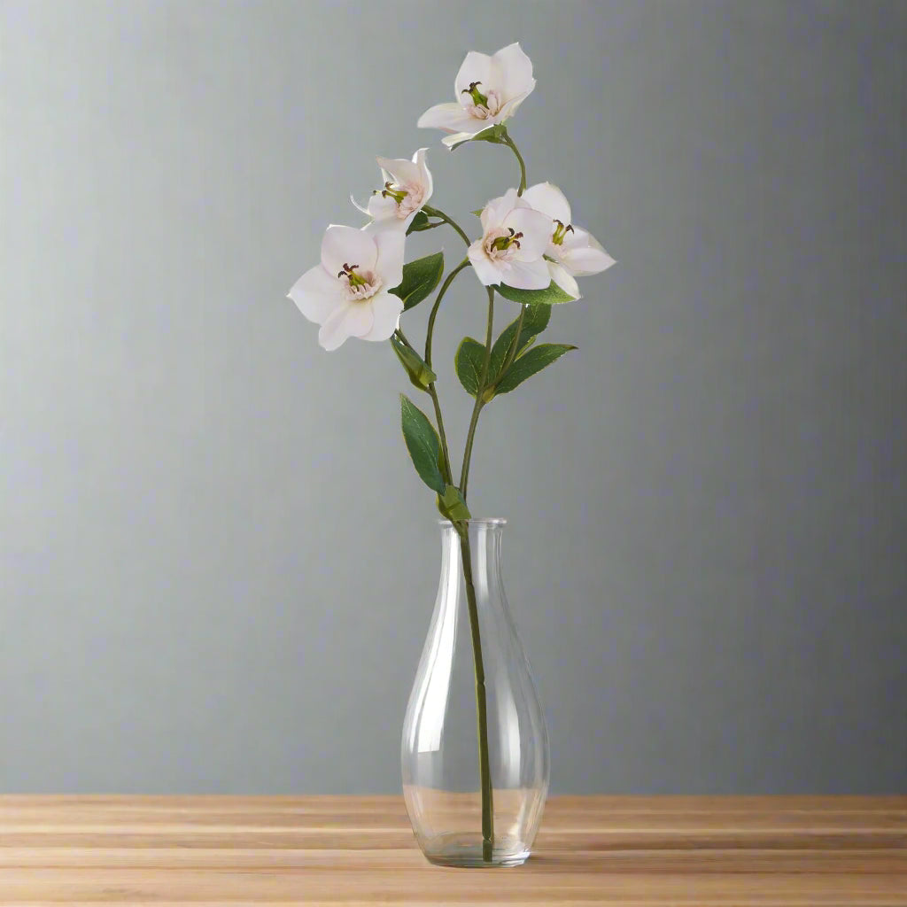 The Natural Garden Collection Pale Apricot Hellibore PLASTIC Shades 4 Seasons