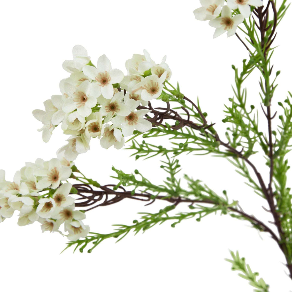 The Natural Garden Collection White Waxflower Shades 4 Seasons