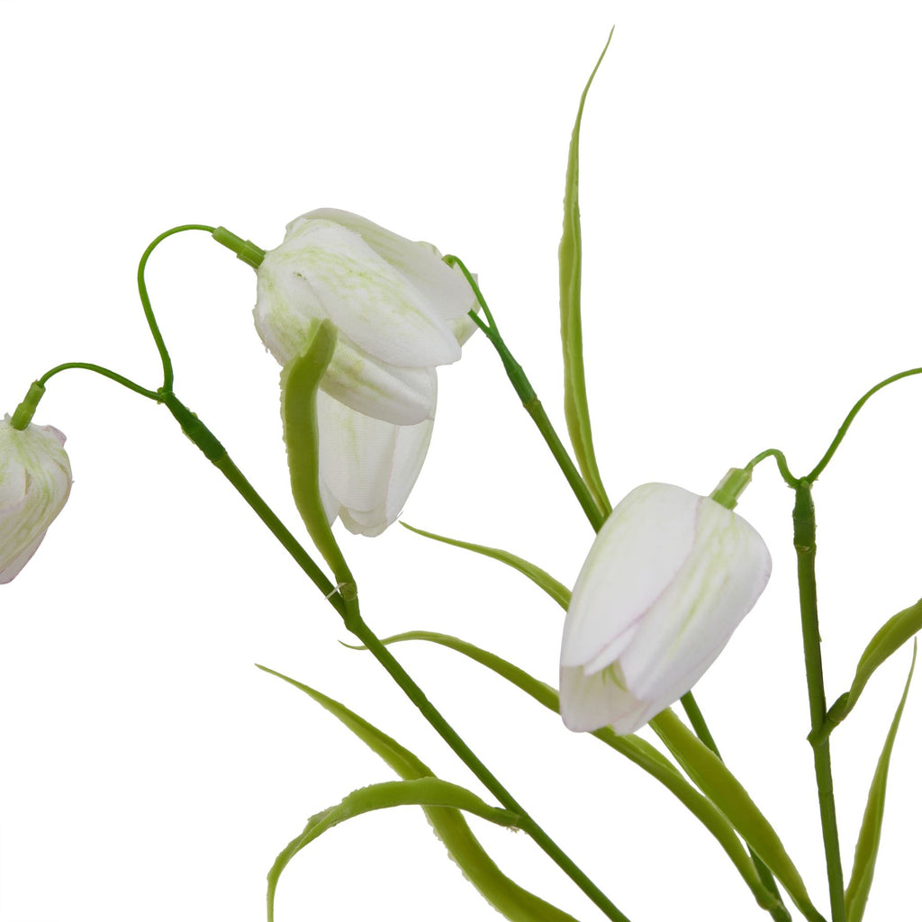 The Natural Garden Collection White Fritillaria Stem Shades 4 Seasons
