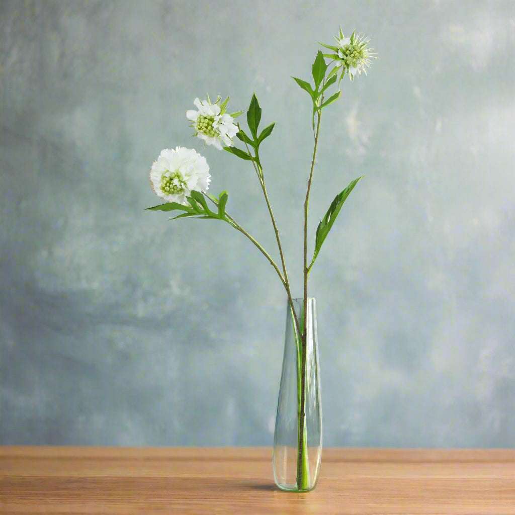 The Natural Garden Collection White Scabious Stem WHITE PLASTIC Shades 4 Seasons