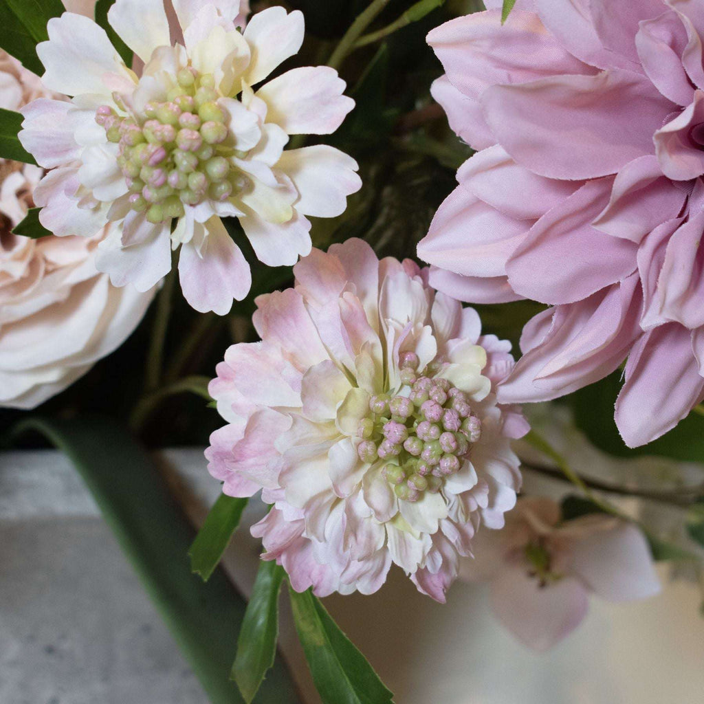 The Natural Garden Collection Pale Pink Scabious Stem Shades 4 Seasons