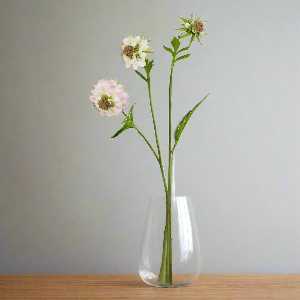 The Natural Garden Collection Pale Pink Scabious Stem PINK PLASTIC Shades 4 Seasons