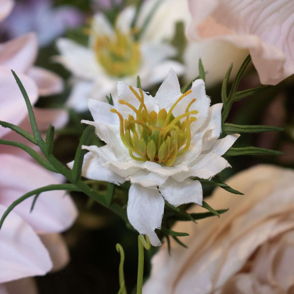 The Natural Garden Collection White Nigella Love In A Mist Shades 4 Seasons