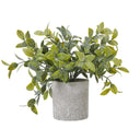 Shades 4 Seasons Box Plant - Stylish Artificial Potted Greenery GREEN PLASTIC Shades 4 Seasons