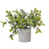 Shades 4 Seasons Box Plant - Stylish Artificial Potted Greenery GREEN PLASTIC Shades 4 Seasons