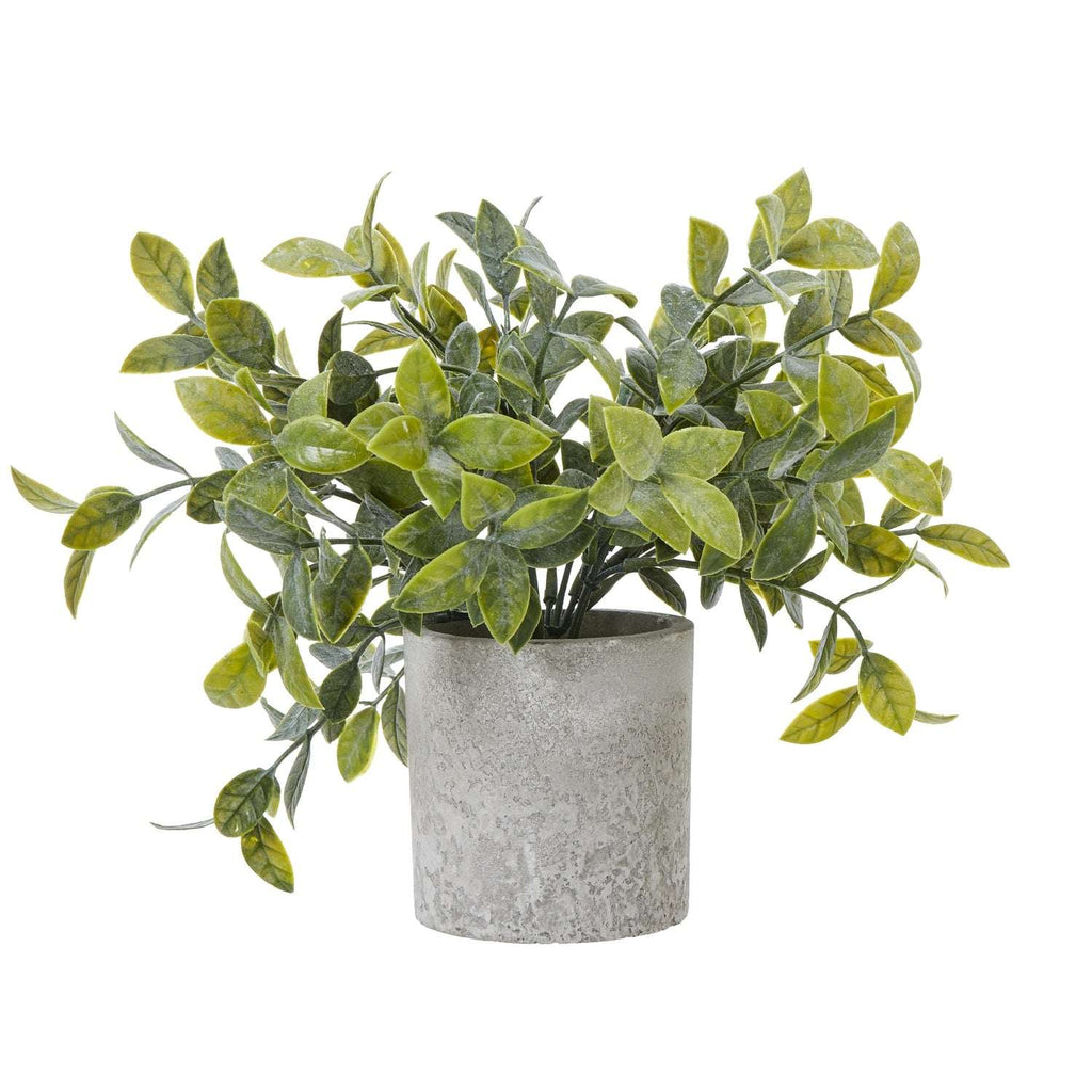 Shades 4 Seasons Box Plant - Stylish Artificial Potted Greenery GREEN PLASTIC Shades 4 Seasons