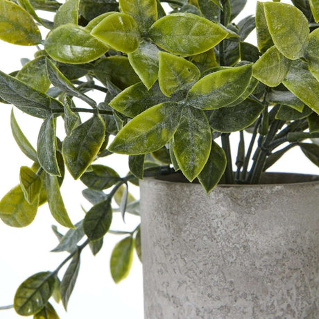 Shades 4 Seasons Box Plant - Stylish Artificial Potted Greenery Shades 4 Seasons