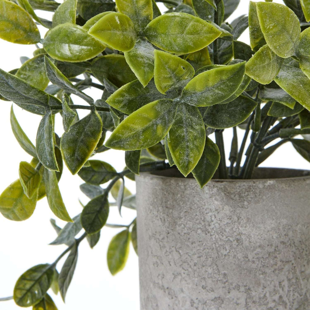 Shades 4 Seasons Box Plant - Stylish Artificial Potted Greenery Shades 4 Seasons