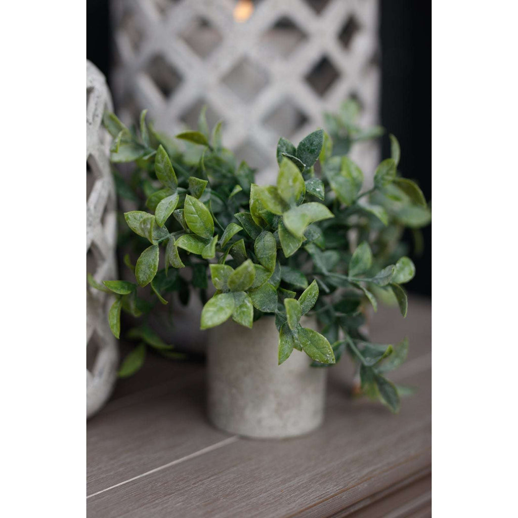 Shades 4 Seasons Box Plant - Stylish Artificial Potted Greenery Shades 4 Seasons