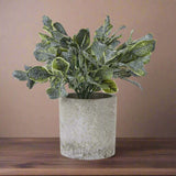 Small Giana Eucalyptus Plant In Grey Pot GREEN PLASTIC Shades 4 Seasons