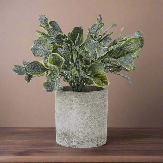 Small Giana Eucalyptus Plant In Grey Pot GREEN PLASTIC Shades 4 Seasons