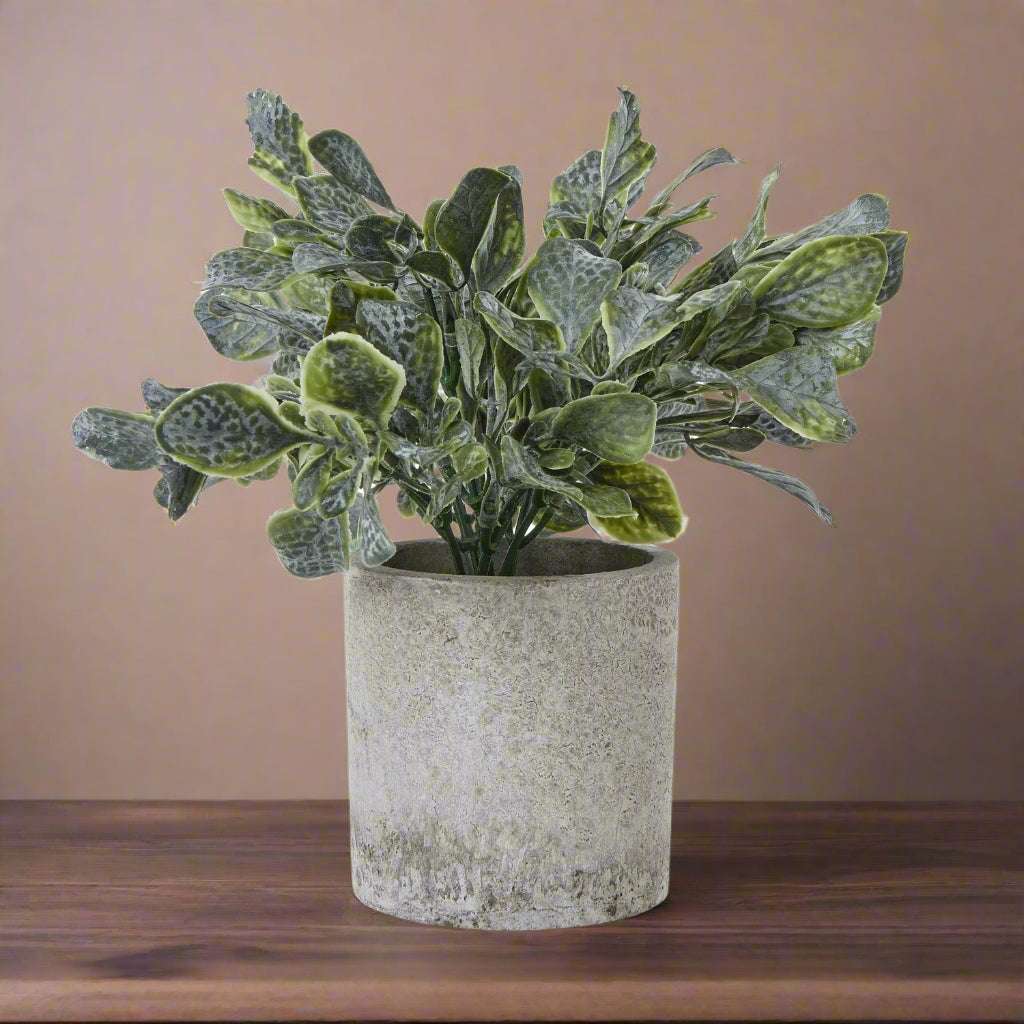 Small Giana Eucalyptus Plant In Grey Pot GREEN PLASTIC Shades 4 Seasons