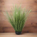 Shades 4 Seasons Onion Grass Plant for Home Decor GREEN PLASTIC Shades 4 Seasons