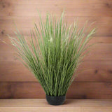 Shades 4 Seasons Onion Grass Plant for Home Decor GREEN PLASTIC Shades 4 Seasons