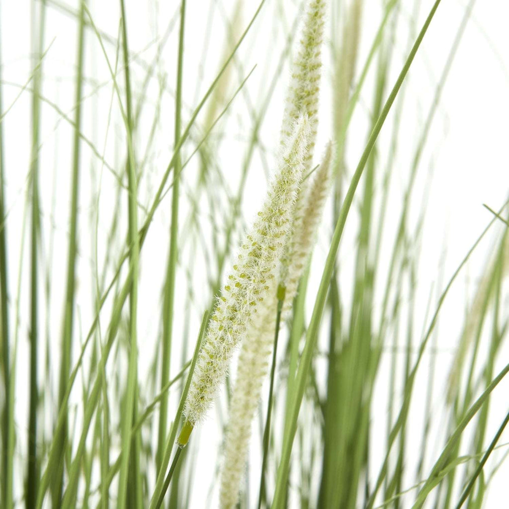 Shades 4 Seasons Onion Grass Plant for Home Decor Shades 4 Seasons