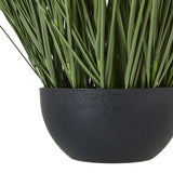 Shades 4 Seasons Onion Grass Plant for Home Decor Shades 4 Seasons