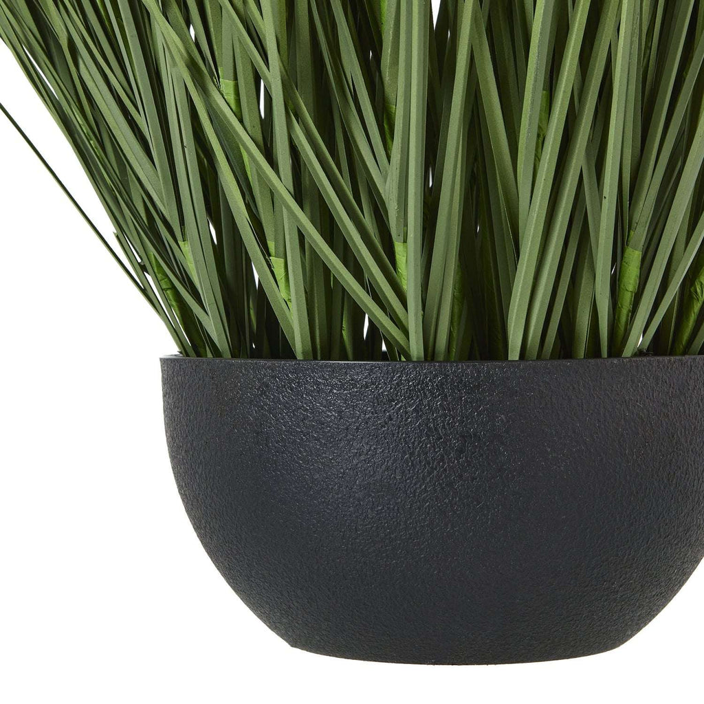 Shades 4 Seasons Onion Grass Plant for Home Decor Shades 4 Seasons