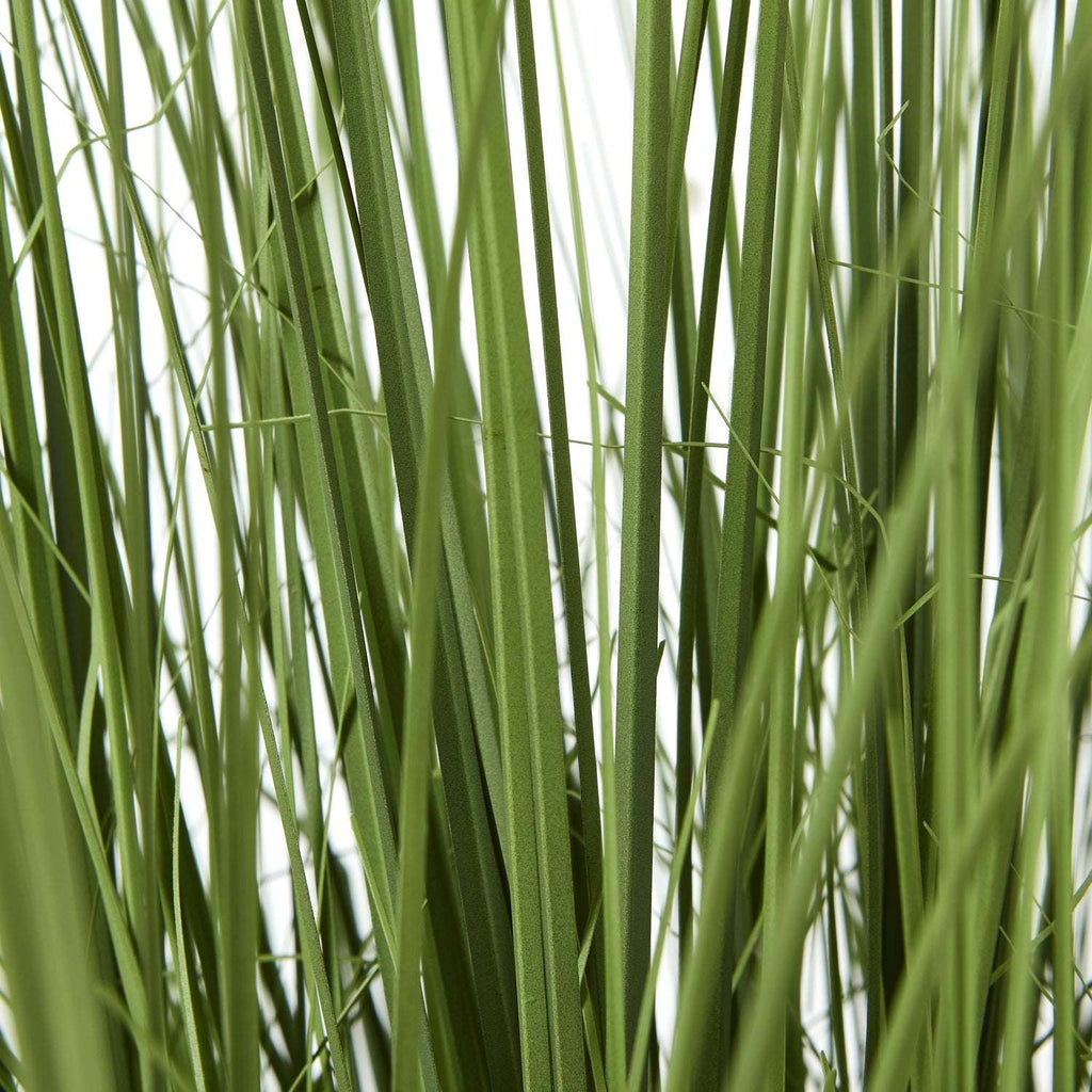 Shades 4 Seasons Onion Grass Plant for Home Decor Shades 4 Seasons