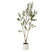 Apulia Olive Tree In White Pot 210Cm BROWN PLASTIC Shades 4 Seasons