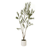 Apulia Olive Tree In White Pot 210Cm BROWN PLASTIC Shades 4 Seasons