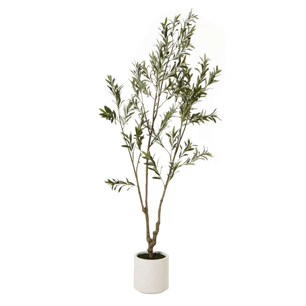 Apulia Olive Tree In White Pot 210Cm BROWN PLASTIC Shades 4 Seasons