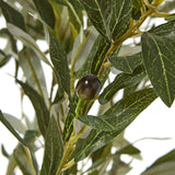 Apulia Olive Tree In White Pot 210Cm Shades 4 Seasons