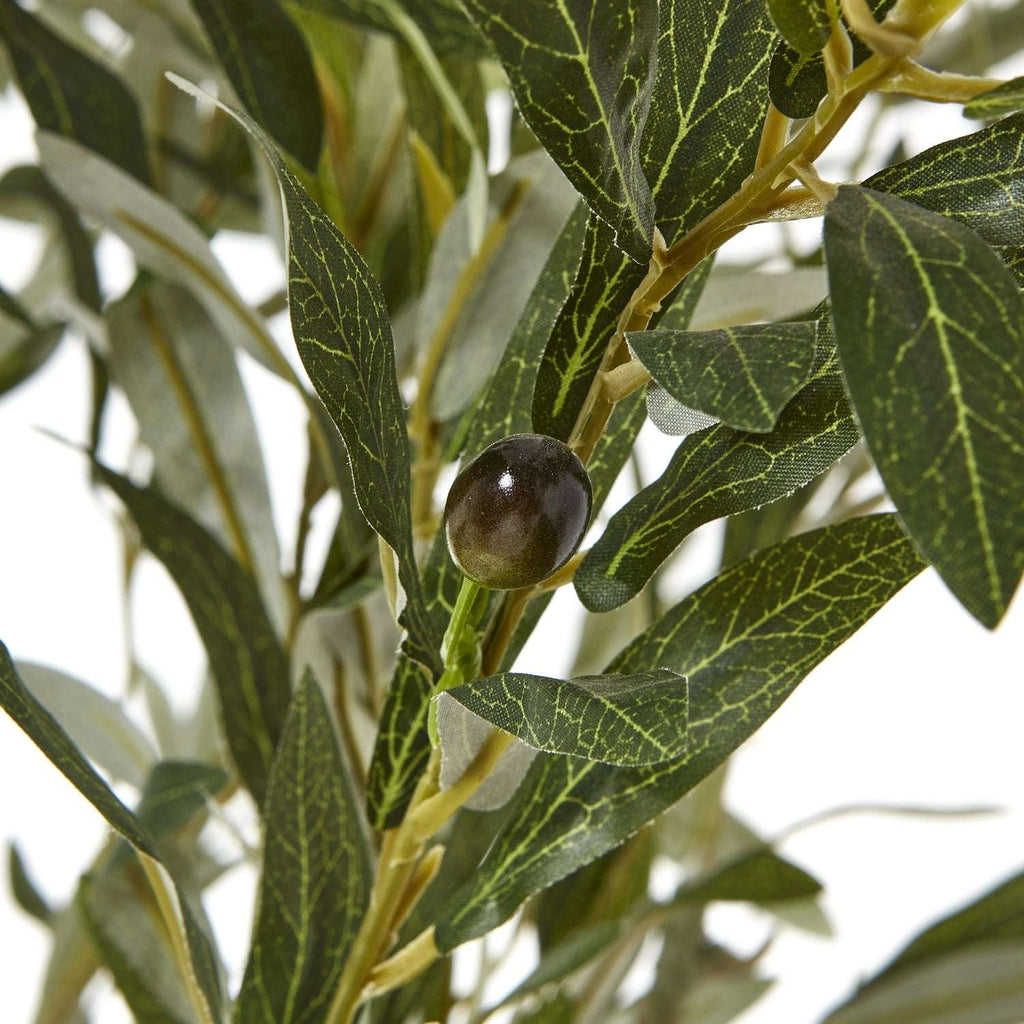 Apulia Olive Tree In White Pot 210Cm Shades 4 Seasons
