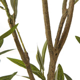 Apulia Olive Tree In White Pot 210Cm Shades 4 Seasons