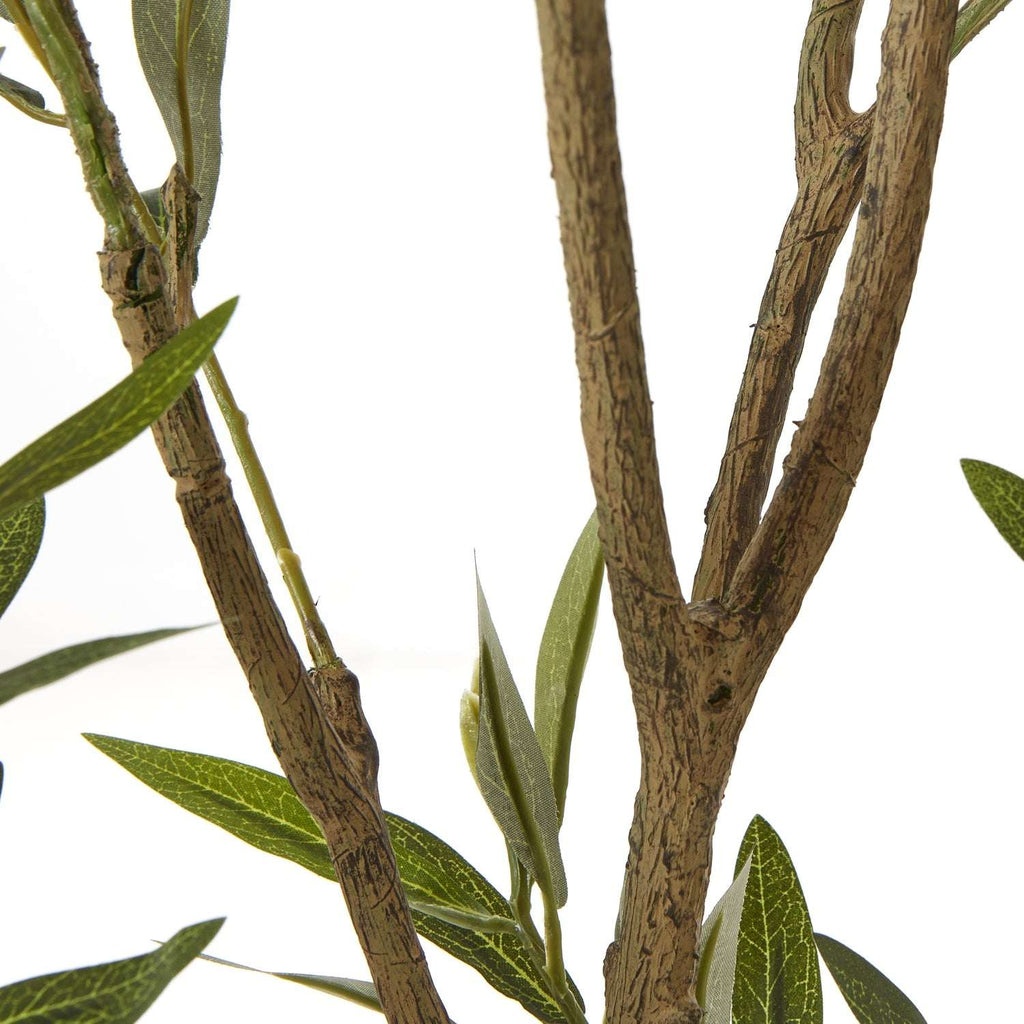 Apulia Olive Tree In White Pot 210Cm Shades 4 Seasons