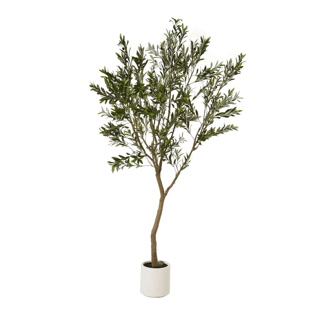 Apulia Olive Tree In White Pot 240Cm BROWN PLASTIC Shades 4 Seasons