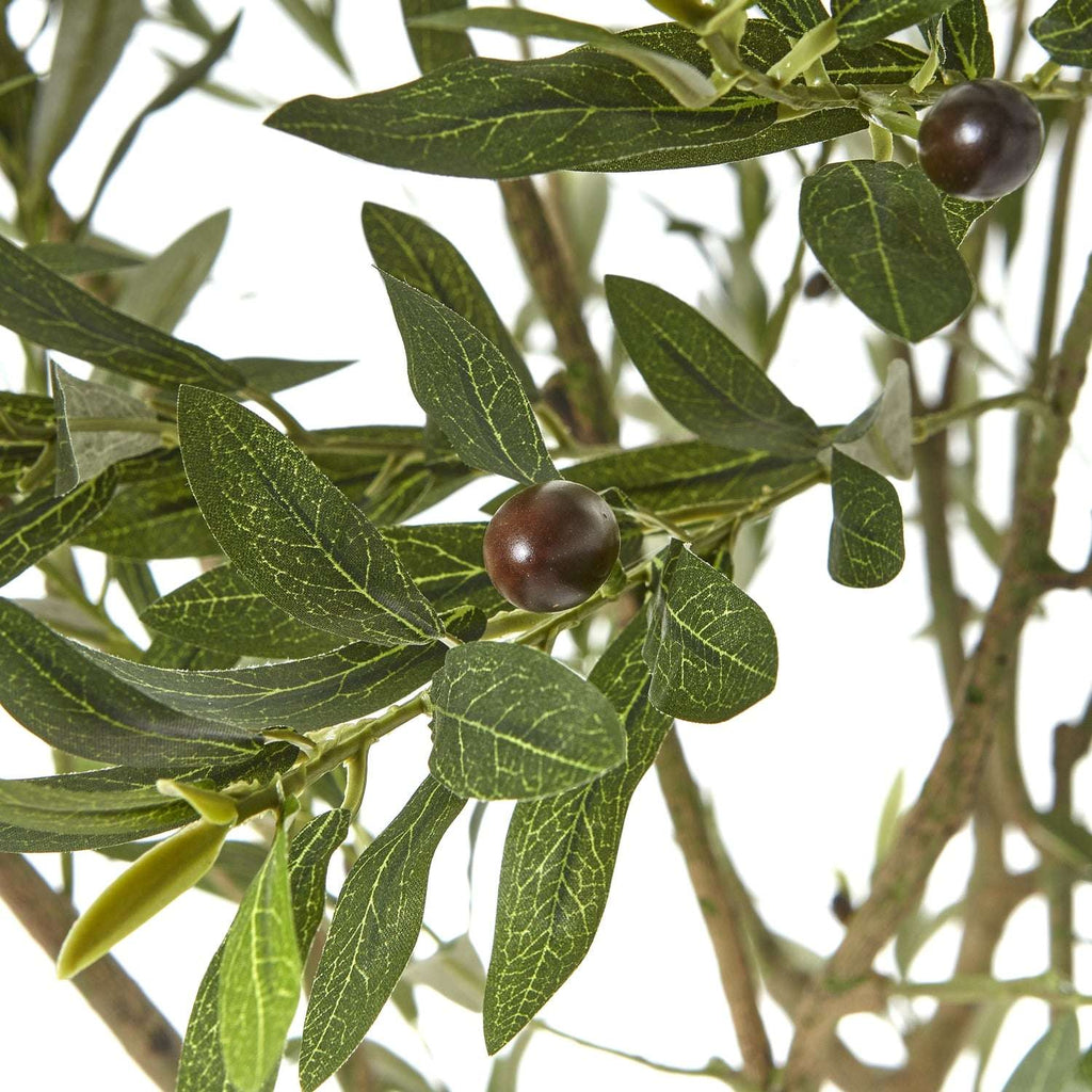 Apulia Olive Tree In White Pot 240Cm Shades 4 Seasons
